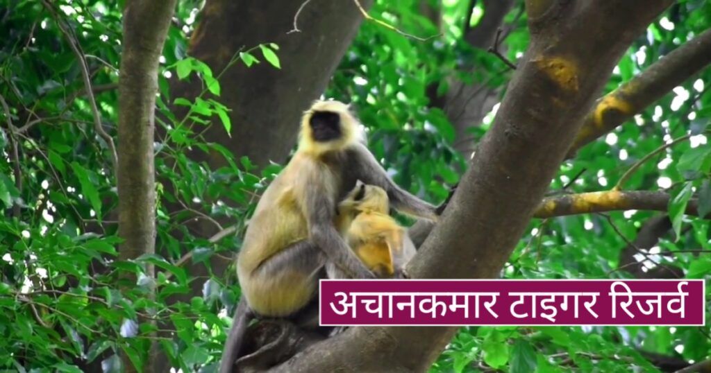 Bilaspur me ghumne ki jagah
