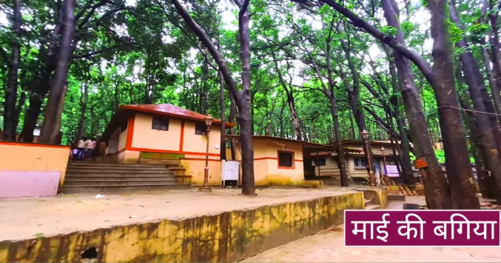 amarkantak