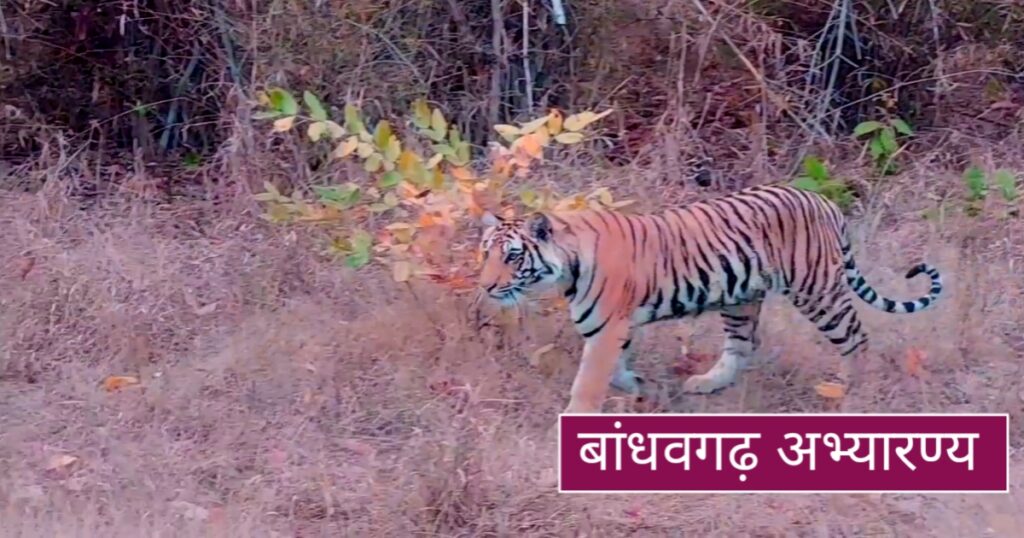 tourist places in mp
